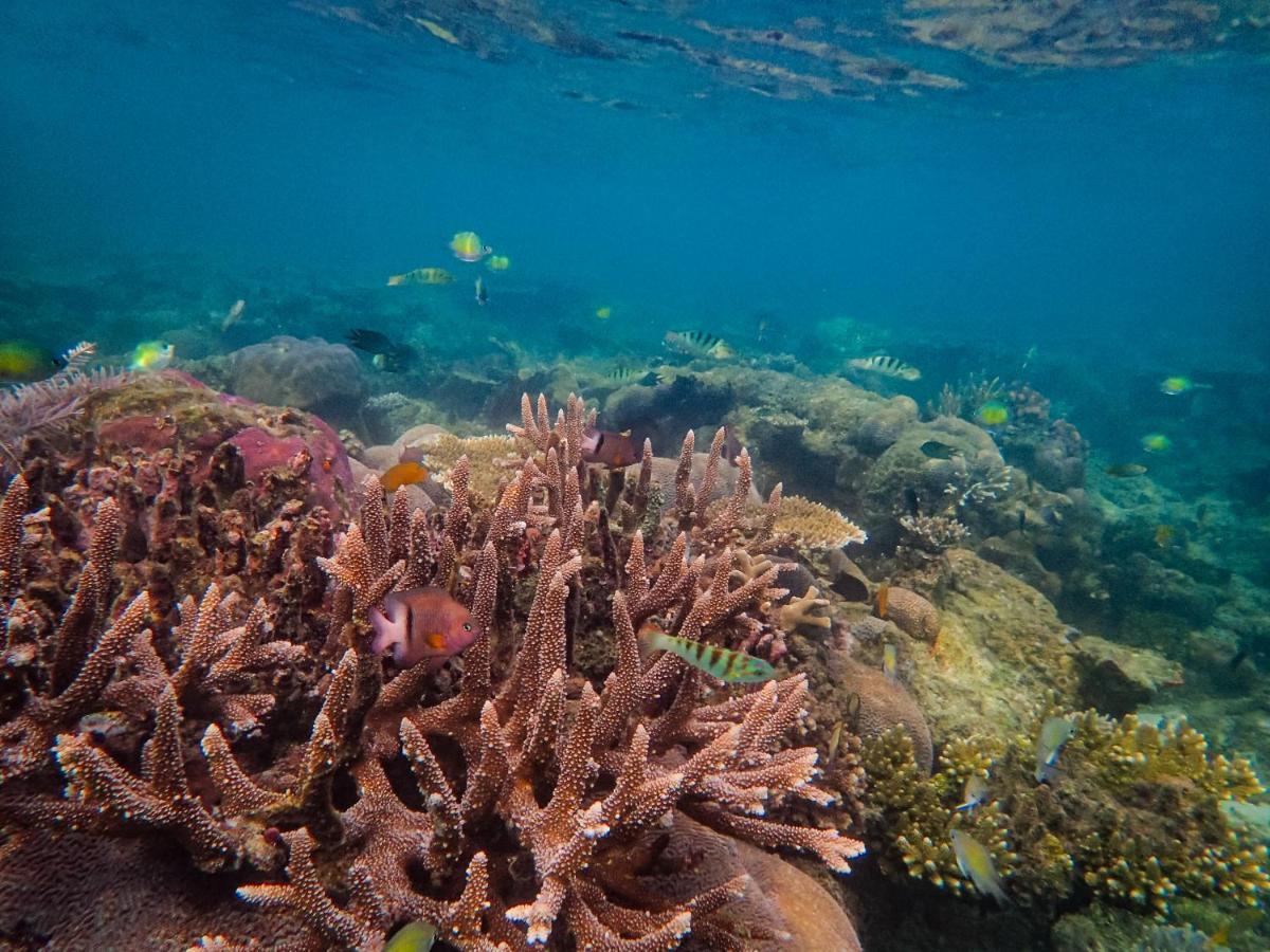 Raja Ampat Eco Lodge Tapokreng المظهر الخارجي الصورة