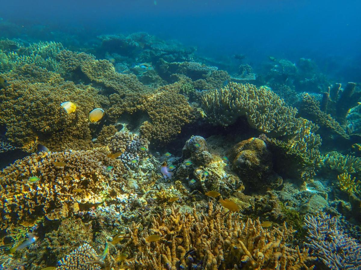 Raja Ampat Eco Lodge Tapokreng المظهر الخارجي الصورة